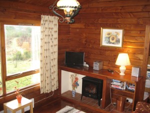 Buzzard internal 2012 002
