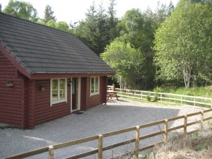 summer at springburn 2012 004