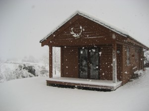 winter scene 002