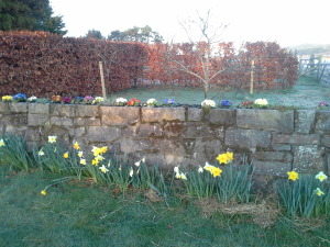 20150405_055612[1]