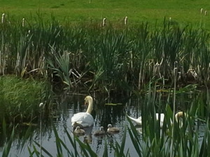 20150609_133659[1]