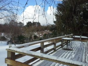 20160214_120541[1]
